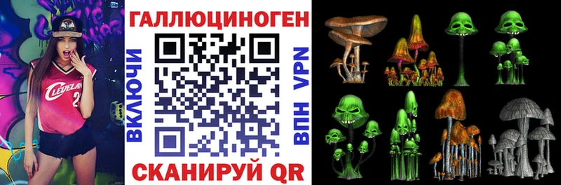 Галлюциногенные грибы мухоморы  где купить   Екатеринбург 